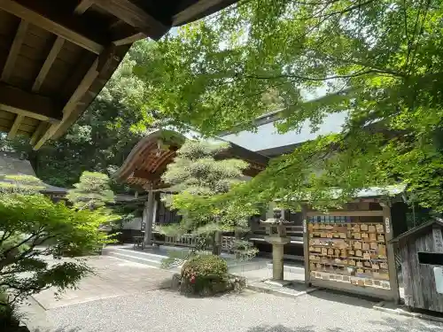 富松神社の{uncategorized: "未分類", other: "その他", undefined: "問題あり", building: "その他建物", grave: "お墓", sacred_gate: "鳥居", guardian: "狛犬", statue: "像", buddha: "仏像", history: "歴史", nature: "自然", garden: "庭園", animal: "動物", pagoda: "塔", temizu: "手水舎", mountain_gate: "山門・神門", sanctuary: "本殿・本堂", subordinate: "末社・摂社", art: "芸術", scenery: "景色", jizo: "地蔵", ema: "絵馬", goshuin: "御朱印", omikuji: "おみくじ", items: "授与品その他", amulet: "お守り", goshuincho: "御朱印帳", eats: "食事", festival: "お祭り", votive_dance: "神楽", shichigosan: "七五三参", wedding: "結婚式", experience: "体験その他", initially: "初詣", around: "周辺", anti_infection: "感染症対策"}