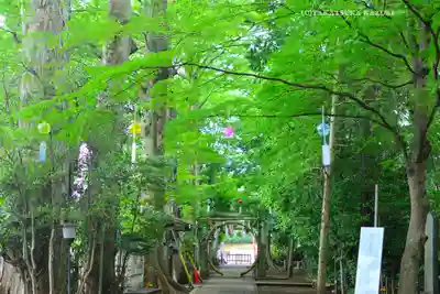 小平神明宮(東京都)