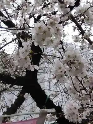 露天神社（お初天神）(大阪府)