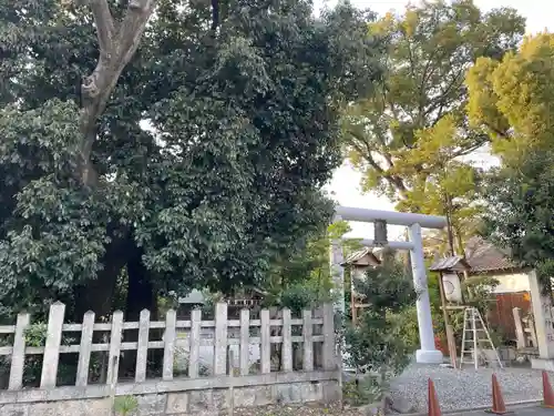 西四条斎宮　西院野々宮神社(春日神社御旅所)(京都府)