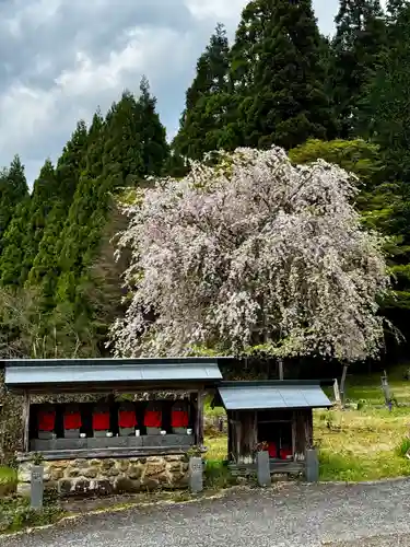 福徳寺(京都府)