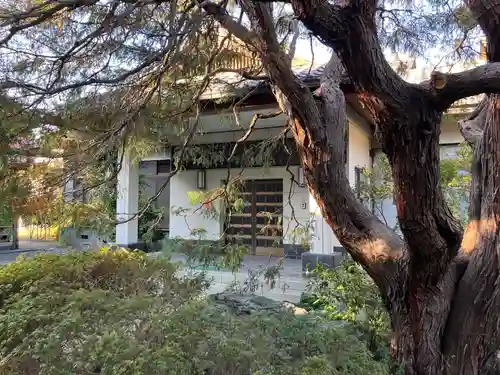 宝性院(東京都)