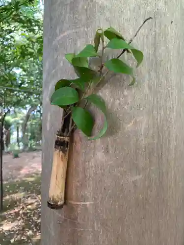 縣居神社のその他建物