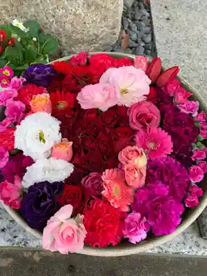 彌都加伎神社の手水舎