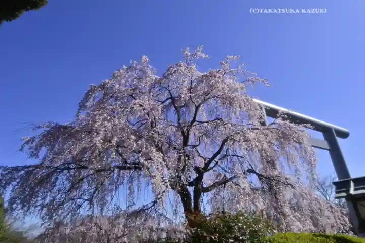 櫻木神社(千葉県)
