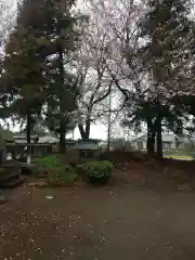 鷲宮神社(埼玉県)