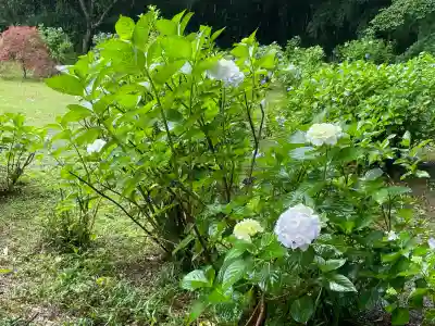 若狭野天満神社(兵庫県)