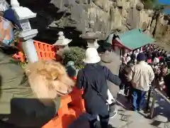 鵜戸神宮(宮崎県)