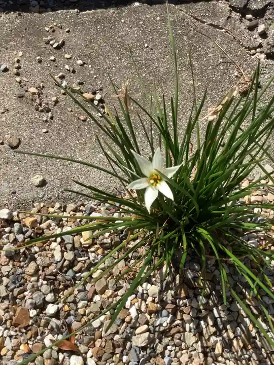 三輪神社の自然