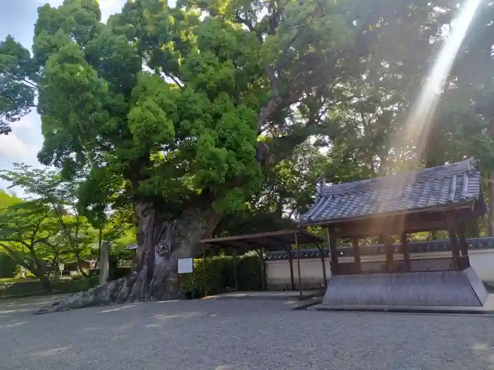 粉河寺(和歌山県)