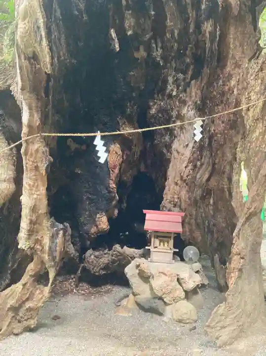 來宮神社(静岡県)