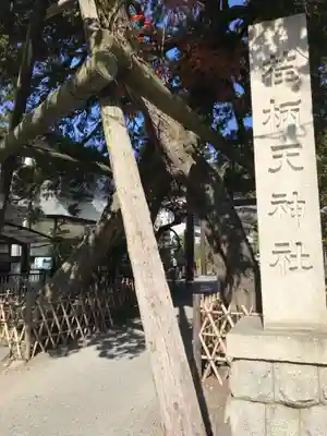 荏柄天神社のその他建物