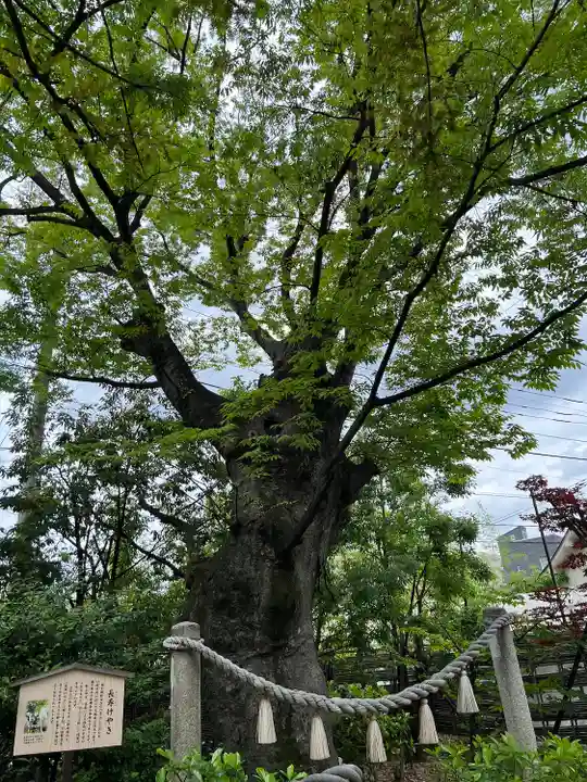 溝口神社(神奈川県)
