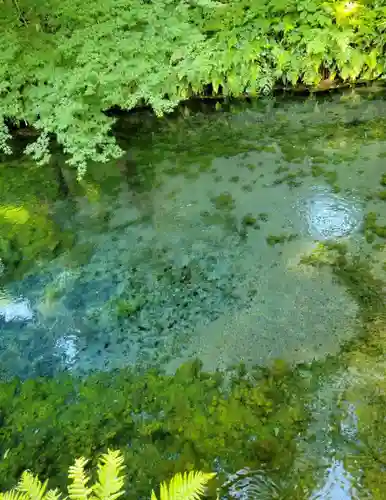 白川吉見神社(熊本県)