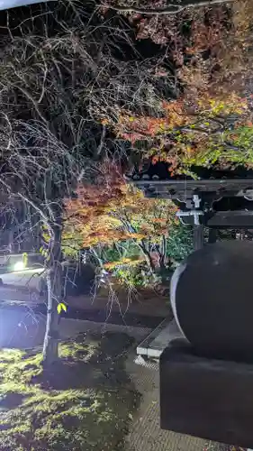 妙顯寺（妙顕寺）(京都府)