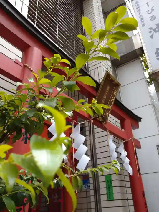 朝日稲荷神社の鳥居