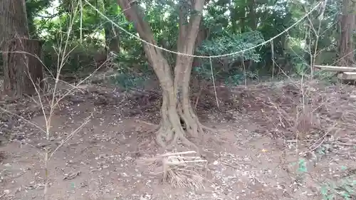 鹿島神社のその他建物