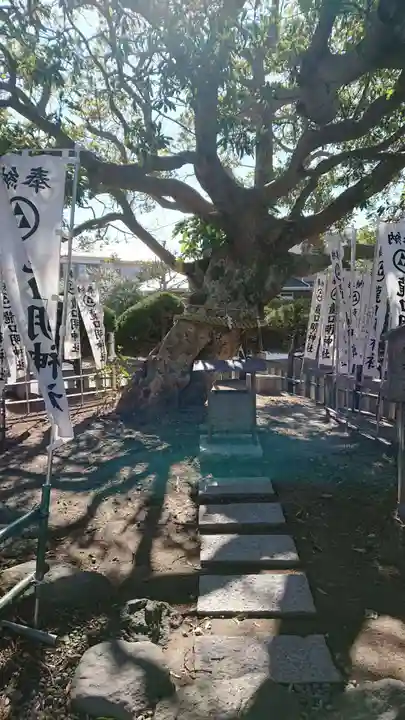 龍口明神社の自然