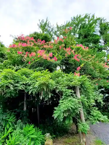 神炊館神社 ⁂奥州須賀川総鎮守⁂の自然