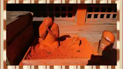 三ツ木神社(埼玉県)