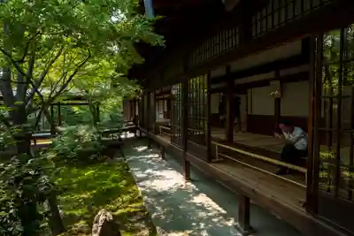 建仁寺（建仁禅寺）(京都府)