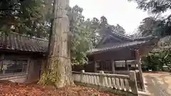 八幡神社(兵庫県)