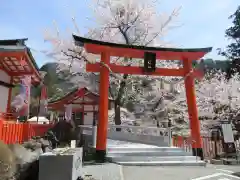 金櫻神社(山梨県)