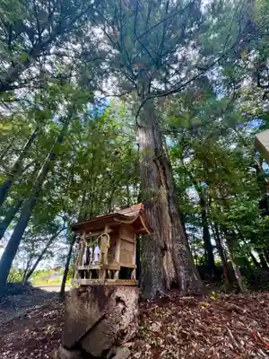 知波夜比古神社(広島県)