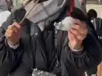 和布刈神社(福岡県)