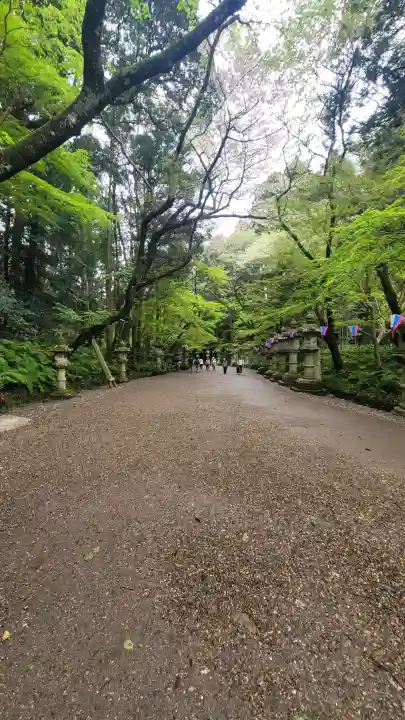 香取神宮の{uncategorized: "未分類", other: "その他", undefined: "問題あり", building: "その他建物", grave: "お墓", sacred_gate: "鳥居", guardian: "狛犬", statue: "像", buddha: "仏像", history: "歴史", nature: "自然", garden: "庭園", animal: "動物", pagoda: "塔", temizu: "手水舎", mountain_gate: "山門・神門", sanctuary: "本殿・本堂", subordinate: "末社・摂社", art: "芸術", scenery: "景色", jizo: "地蔵", ema: "絵馬", goshuin: "御朱印", omikuji: "おみくじ", items: "授与品その他", amulet: "お守り", goshuincho: "御朱印帳", eats: "食事", festival: "お祭り", votive_dance: "神楽", shichigosan: "七五三参", wedding: "結婚式", experience: "体験その他", initially: "初詣", around: "周辺", anti_infection: "感染症対策"}