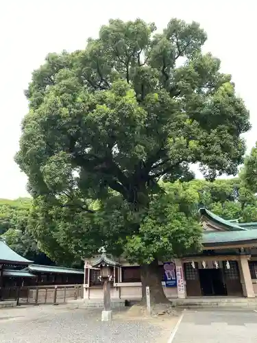 真清田神社の自然