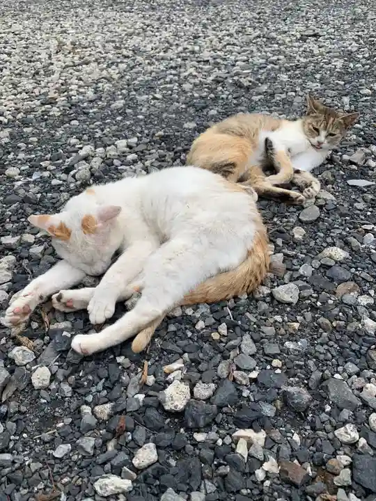 蓮田東照宮の動物