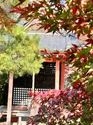 清水寺(京都府)