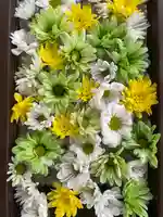 根岸八幡神社の手水舎