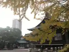 葛飾八幡宮の建物その他