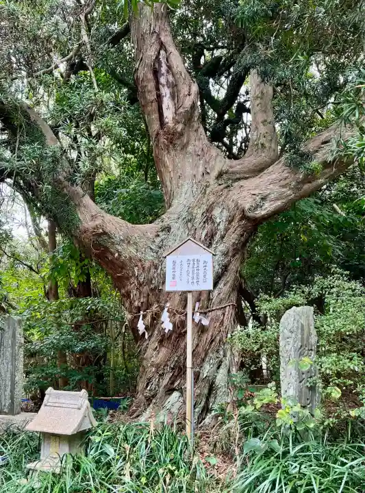 白羽神社(静岡県)