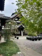 行願寺（革堂）の建物その他