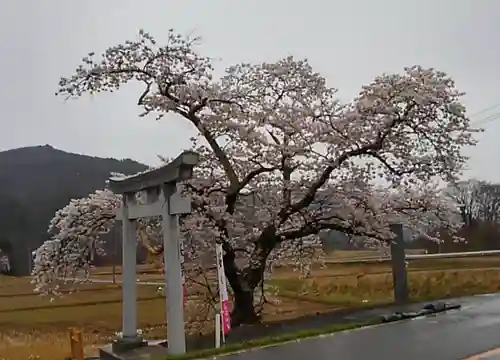 高司神社〜むすびの神の鎮まる社〜の鳥居