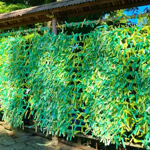 武蔵一宮氷川神社のおみくじ