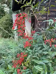 一条山宝蓮寺の景色(2020年11月26日(木) 15時13分40秒投稿)