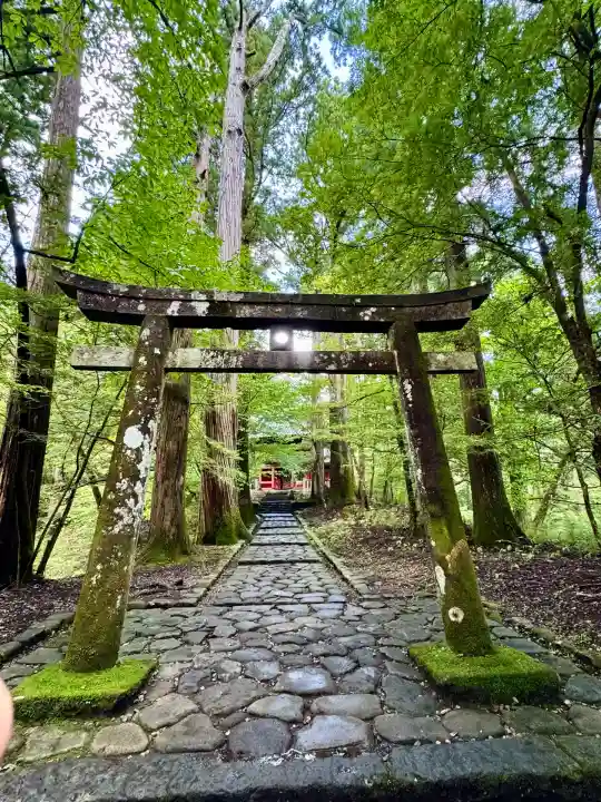 瀧尾神社(日光二荒山神社別宮)(栃木県)