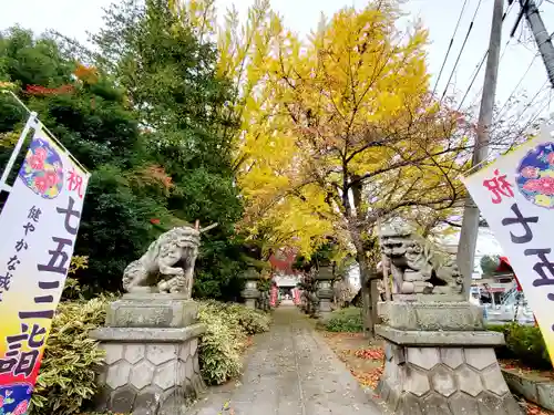 神炊館神社 ⁂奥州須賀川総鎮守⁂の七五三参