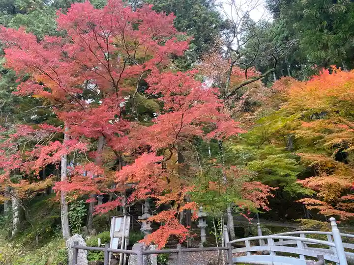 高蔵寺(兵庫県)