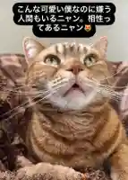 専念寺(大阪府)