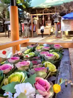 上目黒氷川神社(東京都)