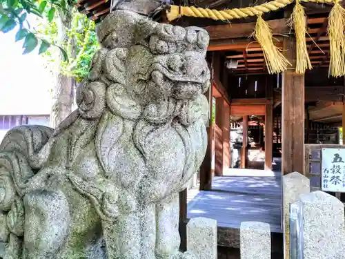 白山神社の狛犬