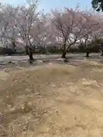 貴船神社の自然