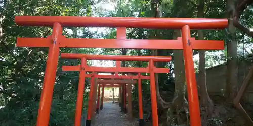 大井神社の鳥居