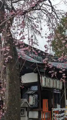 縣神社の自然
