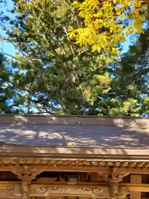 黒沼神社(福島県)